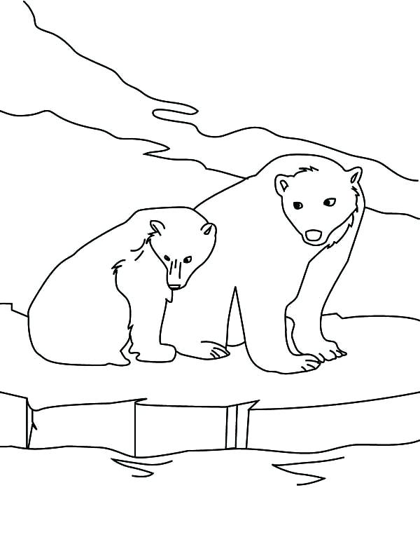 600x776 Bear Family Coloring Pages Pin Drawn Polar Bear Family Drawing 9