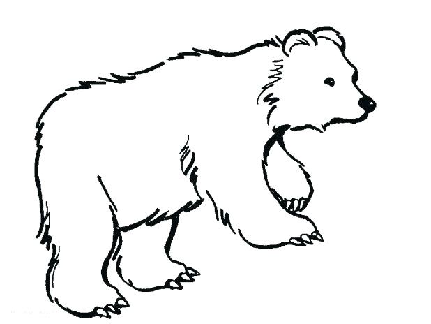 618x464 Polar Bears Coloring Pages Free Printable Polar Bear Coloring