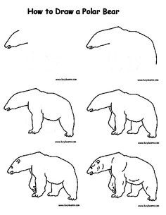 236x305 Pin Drawn Polar Bear Line Drawing 4. How To Draw A Polar Bear. How