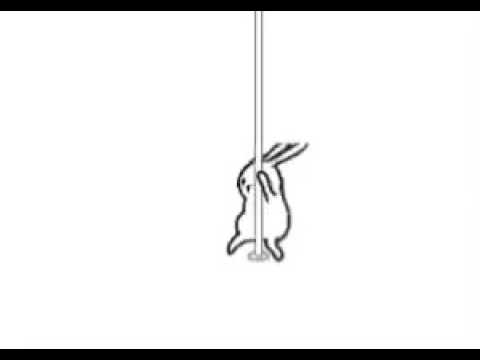 480x360 Bunny Pole Dancing Part 1