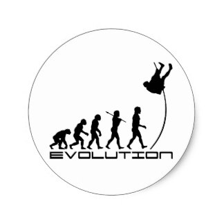 324x324 Pole Vault Stickers Zazzle