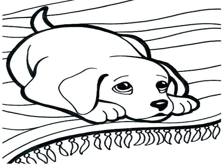 863x647 Cat And Dog Coloring Pages Elegant Cats And Dogs Coloring Pages