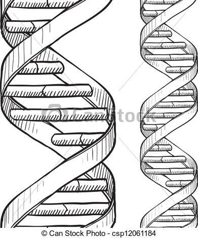 391x470 Deluxe Police Station Clip Art Dna Double Helix And Pencil