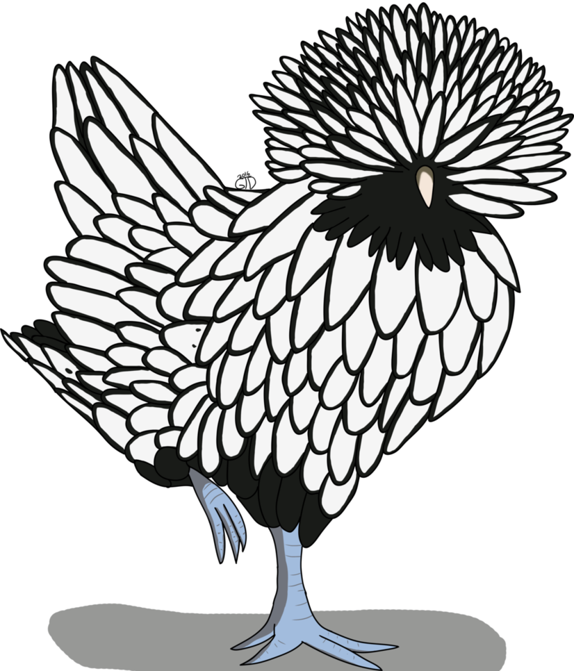 826x966 Polish Chicken