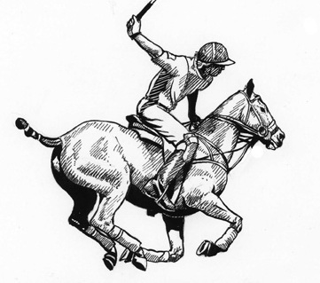 361x319 Basma Rashed Polo Pony