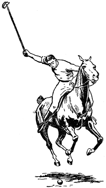 363x640 Polo Clipart Etc