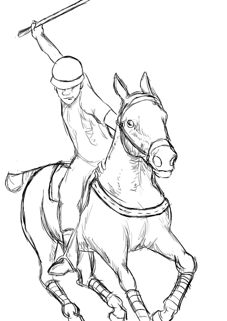 753x1062 Polo Pony Sketch Redone By Hogwarts2000
