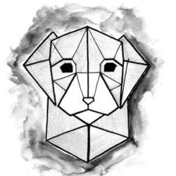 250x250 Polygon Drawing, Pencil, Sketch, Colorful, Realistic Art Images