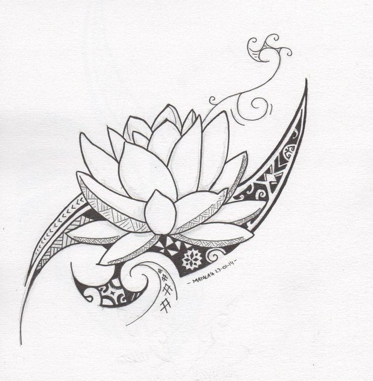 736x750 Collection Of Polynesian Lotus Tattoo Design