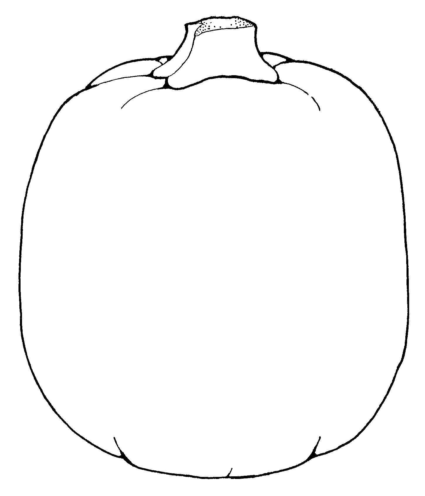1448x1688 Drawn Pumpkin Black And White