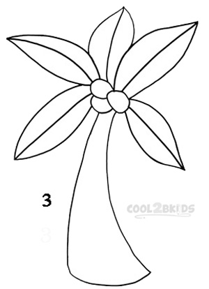 300x414 How To Draw A Palm Tree (Step By Step Pictures) Cool2bkids
