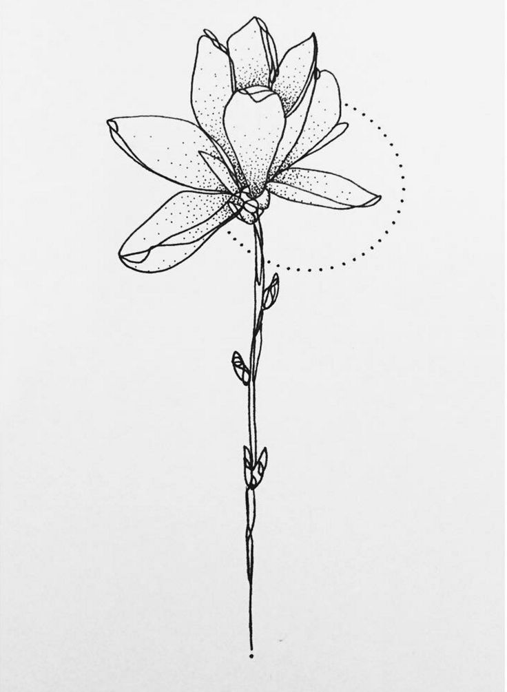 736x1005 8 Best Tatoo Images On Tattoo Ideas, Tattoo Designs