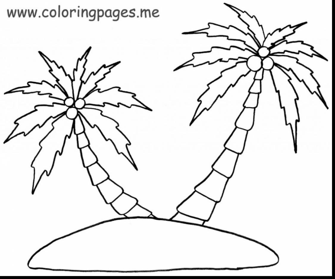 1126x940 Best Palm Tree Coloring Pages 1