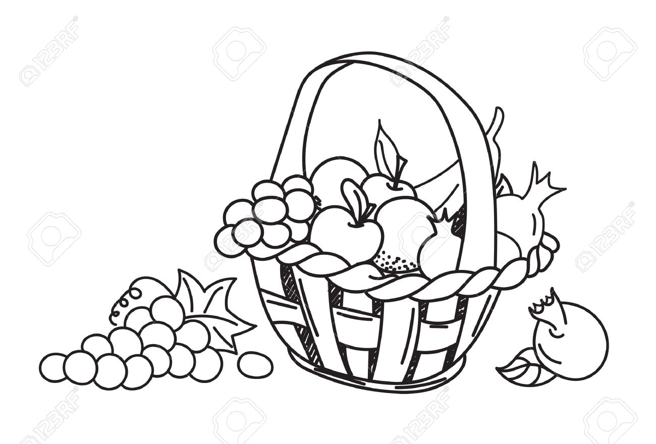 1300x880 Fruit Basket Apple, Grape, Banana, Pomegranate. Hand Drawn