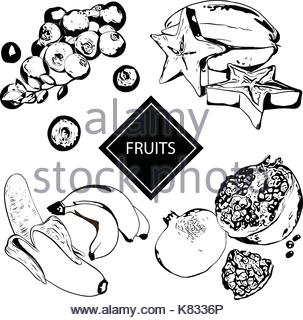 303x320 Hand Drawn Vector Illustration Of A Pomegranate Stock Vector Art