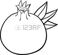 230x219 Image Result For Pomegranate Drawing Botanicals