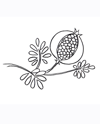 400x499 Pomegranate Clipart Colouring Page