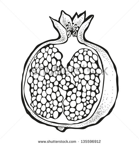450x470 Stock Vector Vector Illustration Of Pomegranate Isolated On