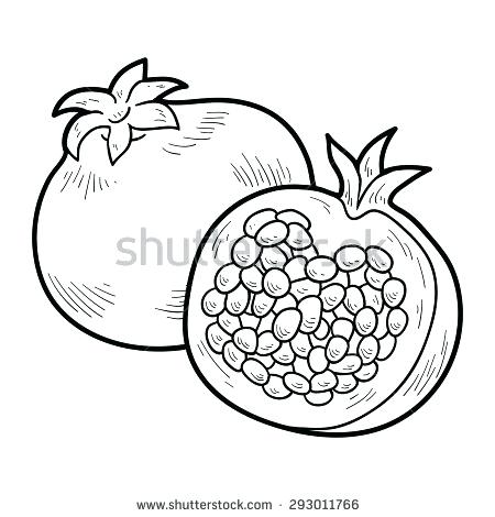 450x470 Coloring Pictures Of Vegetables Coloring Book Fruits
