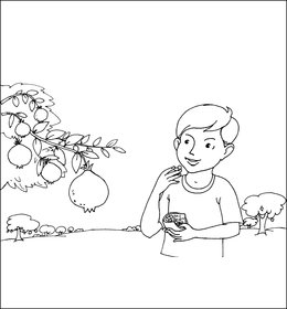 260x280 Boy Eating Pomegranate And Looking