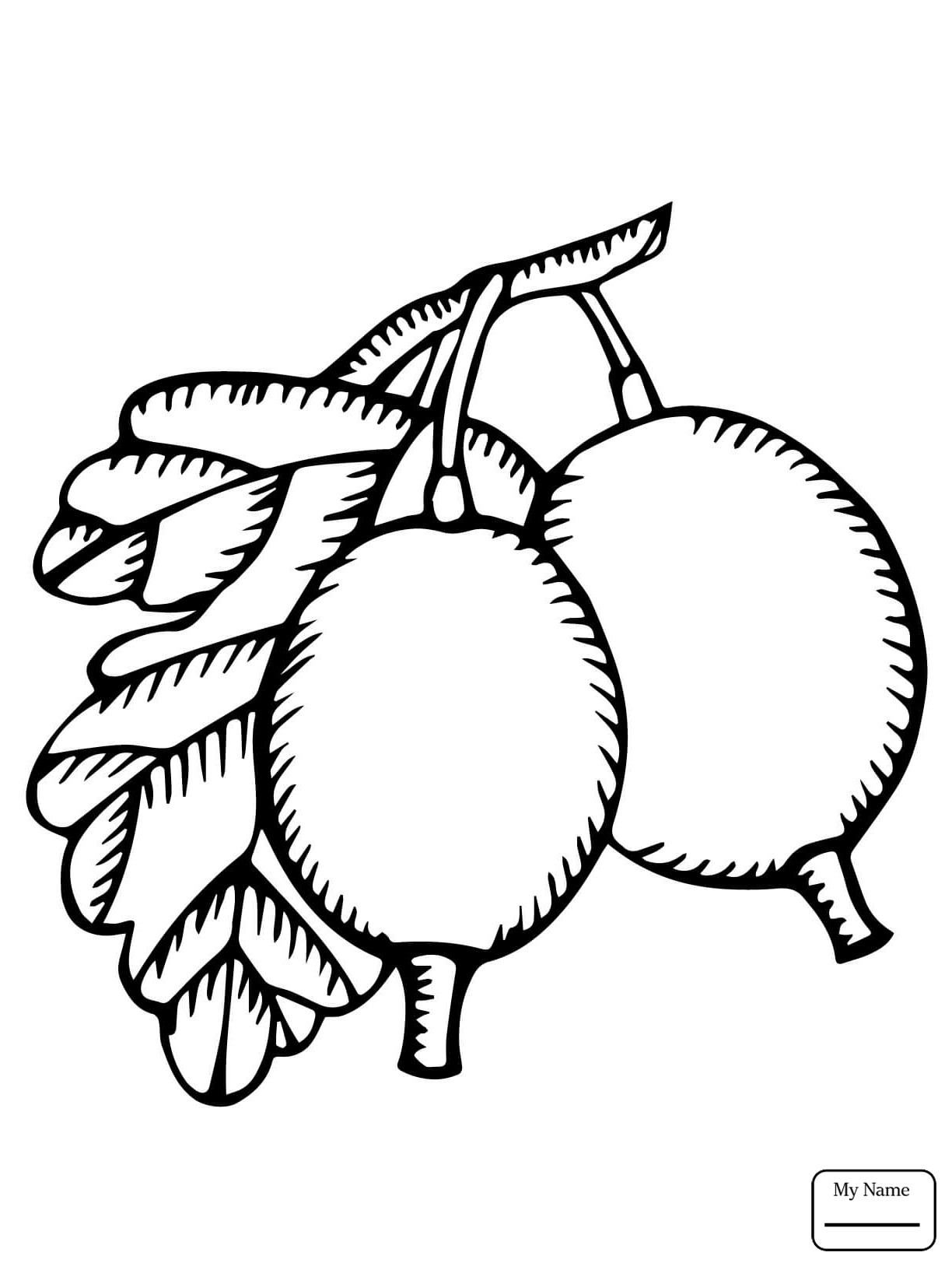 1224x1632 Gooseberry Fruits And Berries Coloring Pages For Kids Unique