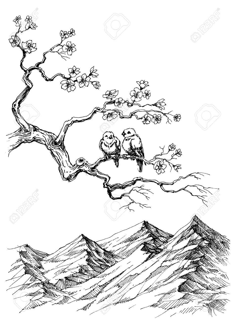 956x1300 Spring Birds On Tree Branch Sketch Royalty Free Cliparts, Vectors