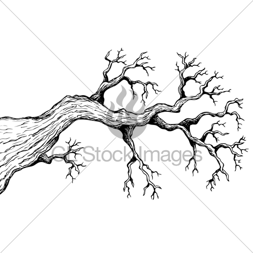 500x500 Tree Theme Drawing 3 Vector Illustration. Pomegranate Jam