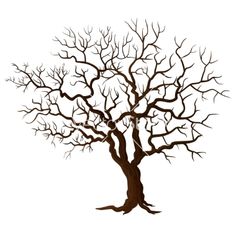 236x248 Pomegranate Illustration