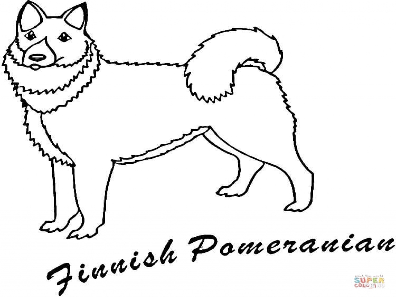 1280x960 Pomeranian Coloring Pages Finnish Page