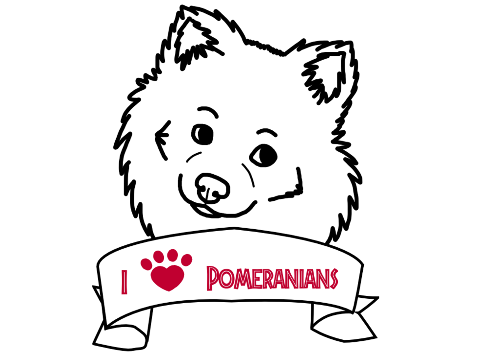 1024x731 Pomeranian By Shelter Staffie