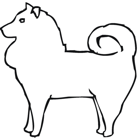 480x480 Pomeranian Coloring Page Free Printable Coloring Pages
