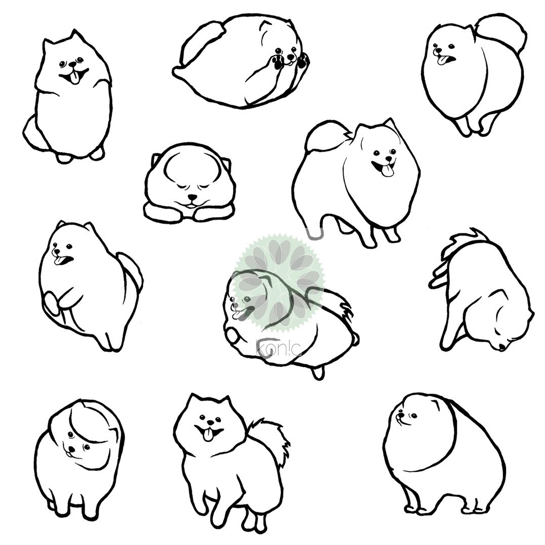 1077x1077 Pomeranian Pomeranians Pommies Pommie Poms Drawings Illustrations