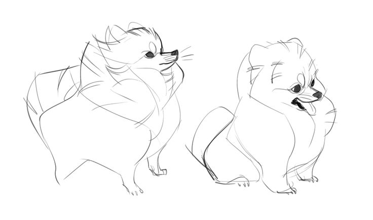 736x434 Enlace Permanente De Imagen Incrustada Animal Characters