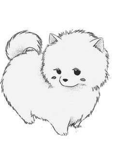 Pomeranian Outline Drawing at GetDrawings | Free download