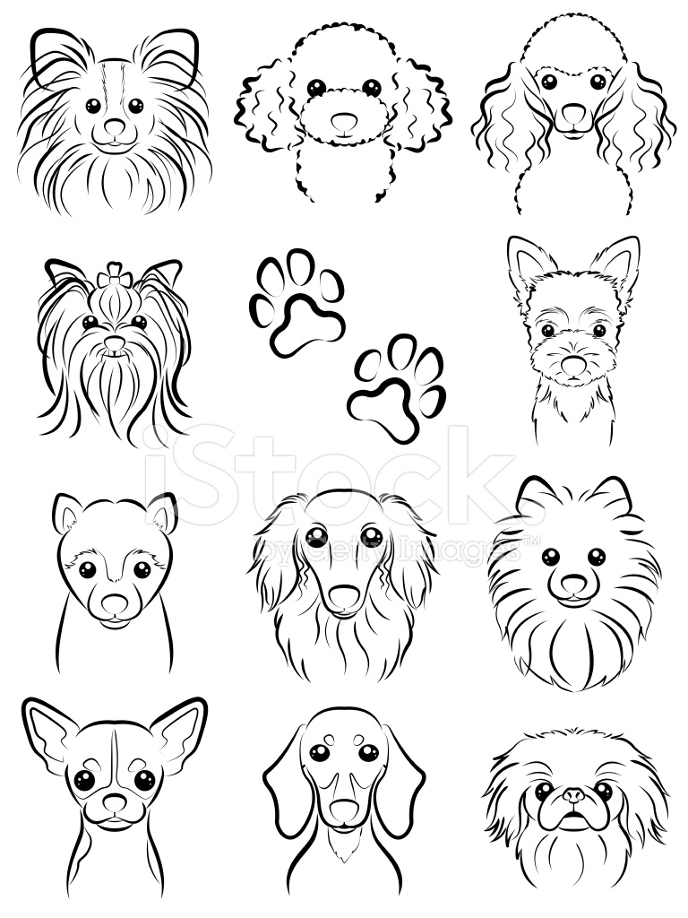 768x1024 Dog Line Drawing Stock Vector