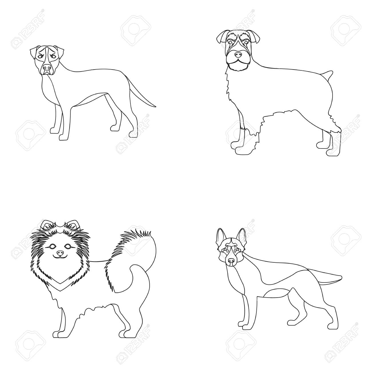 1300x1300 Retriever, Terrier, Pomeranian, And Other Web Icon In Outline