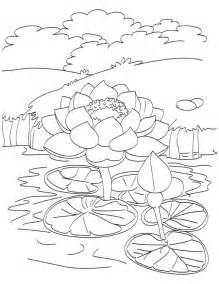 219x284 Lotus Pond Drawing