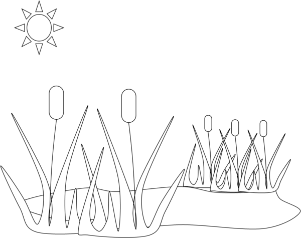 600x475 Pond Free Images