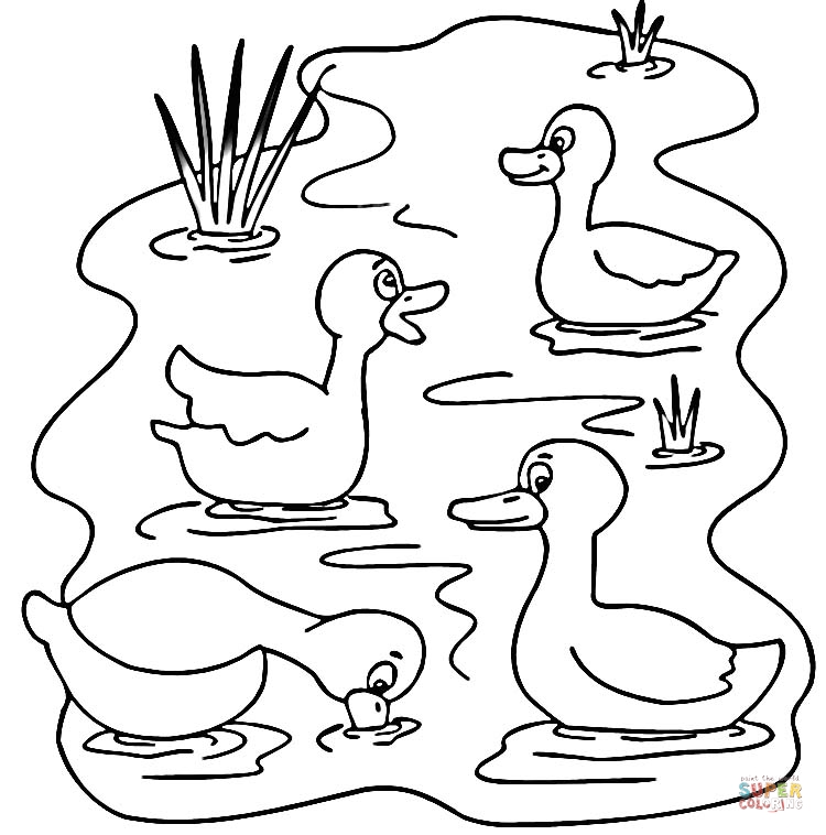 Pond Drawing at GetDrawings | Free download