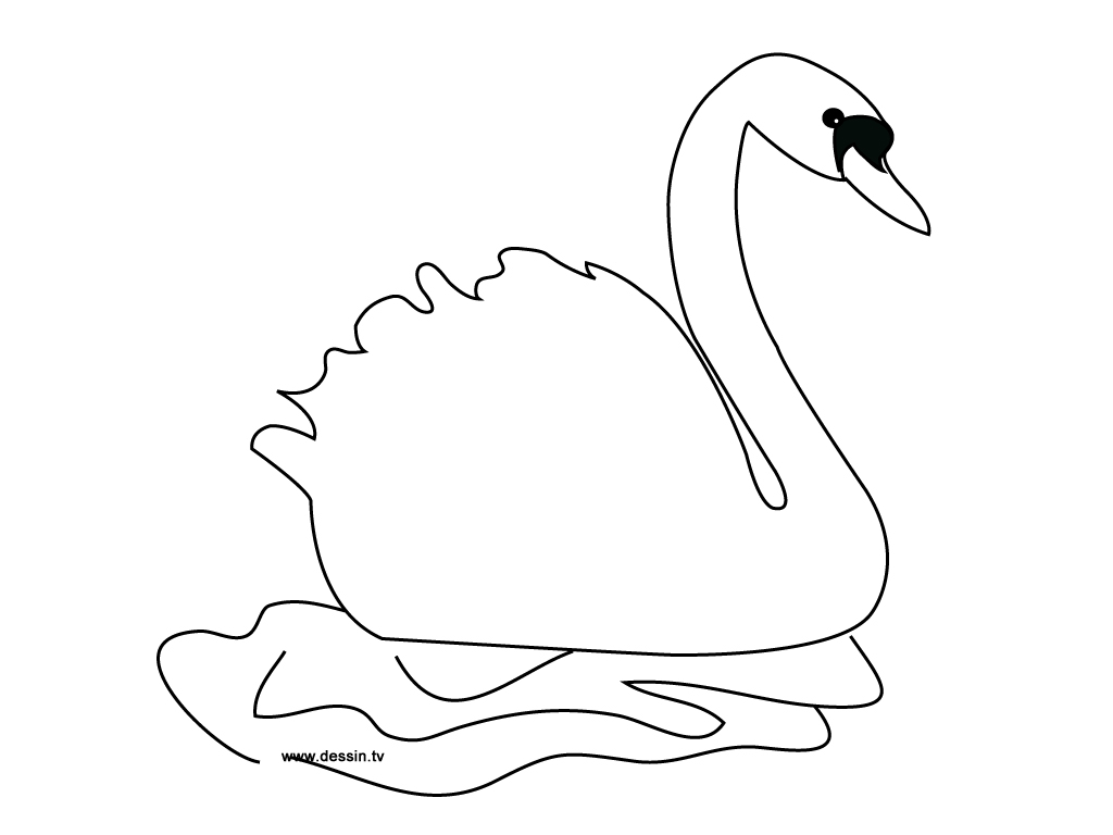 1024x768 Coloring Swan