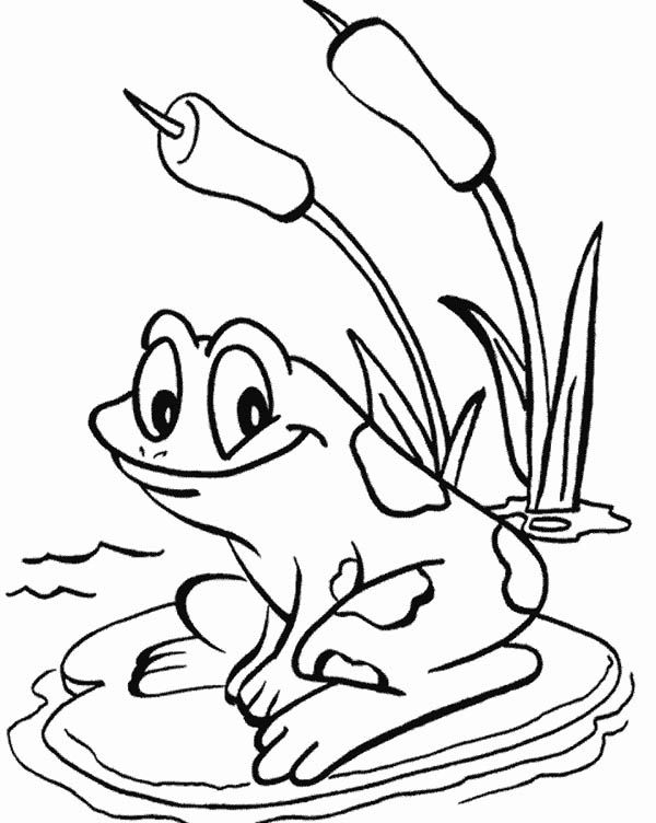 600x752 Coloring pages of around the pond Lily Pad, Frog Love To Sit