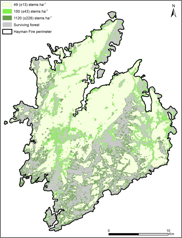 583x760 Patterns Of Conifer Regeneration Following High Severity Wildfire