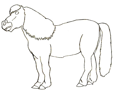 400x318 How To Draw A Pony Step By Step Drawings For Kids