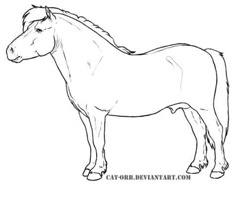480x404 Shetland Pony Coloring Page Free Printable Coloring Pages