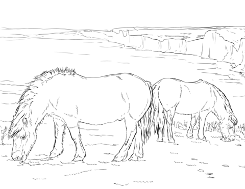 480x371 Horses Coloring Pages Free Coloring Pages