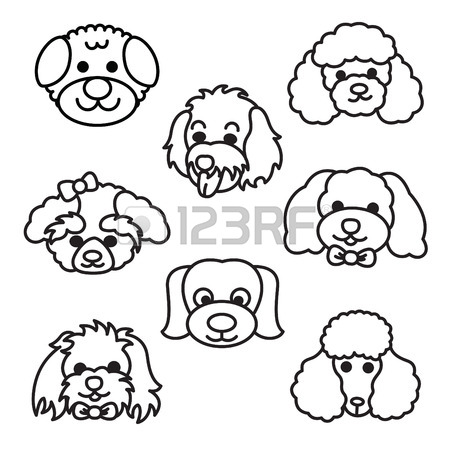 Poodle Cartoon Drawing