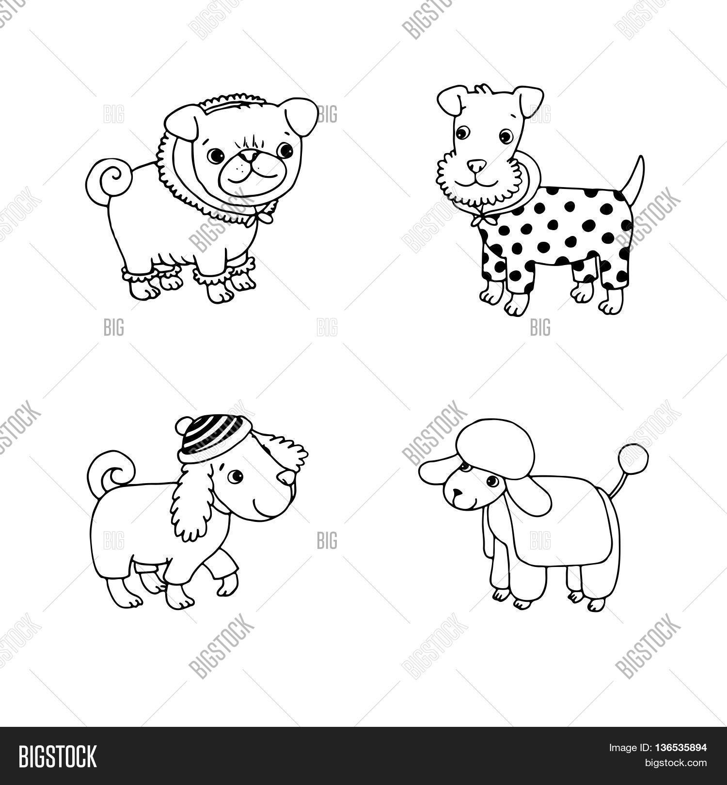 1500x1620 Cute Cartoon Dogs Winter Clothes. Vector Amp Photo Bigstock