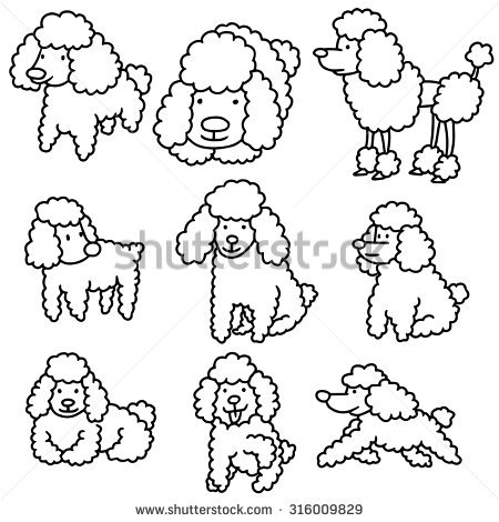 450x470 Drawn Poodle Face