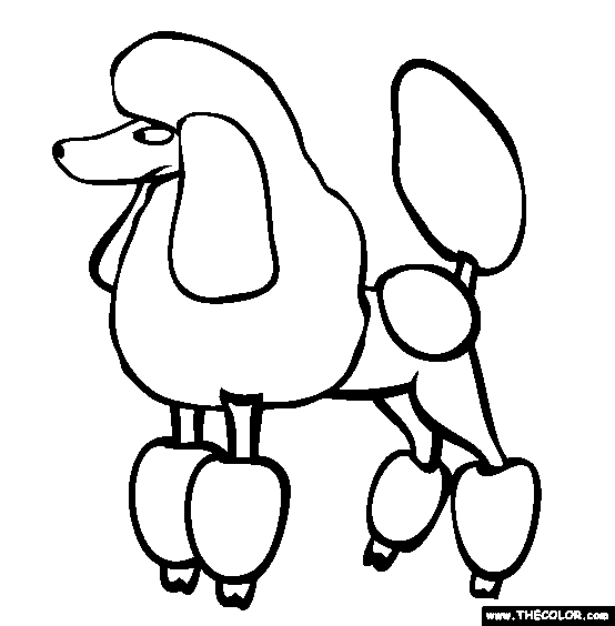 554x564 Poodle Skirt Coloring Page 362012