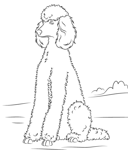 409x480 Poodle Coloring Page Free Printable Coloring Pages